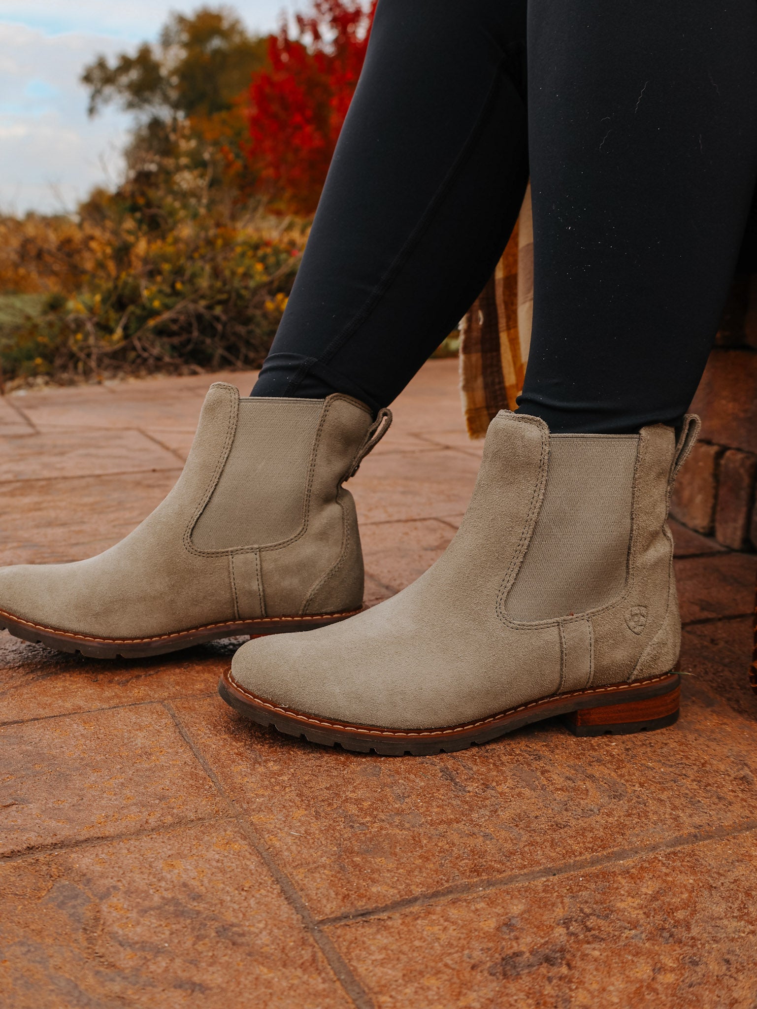 Ariat Wexford Chelsea Boot Silver Sage Desert Down Ranch Wear