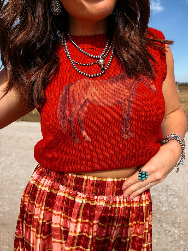 Jackson Hole Sweater Vest