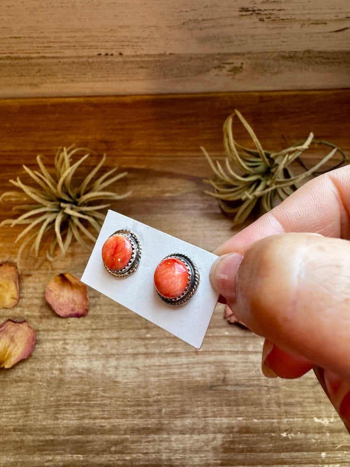 Spiny Oyster Stud Earrings