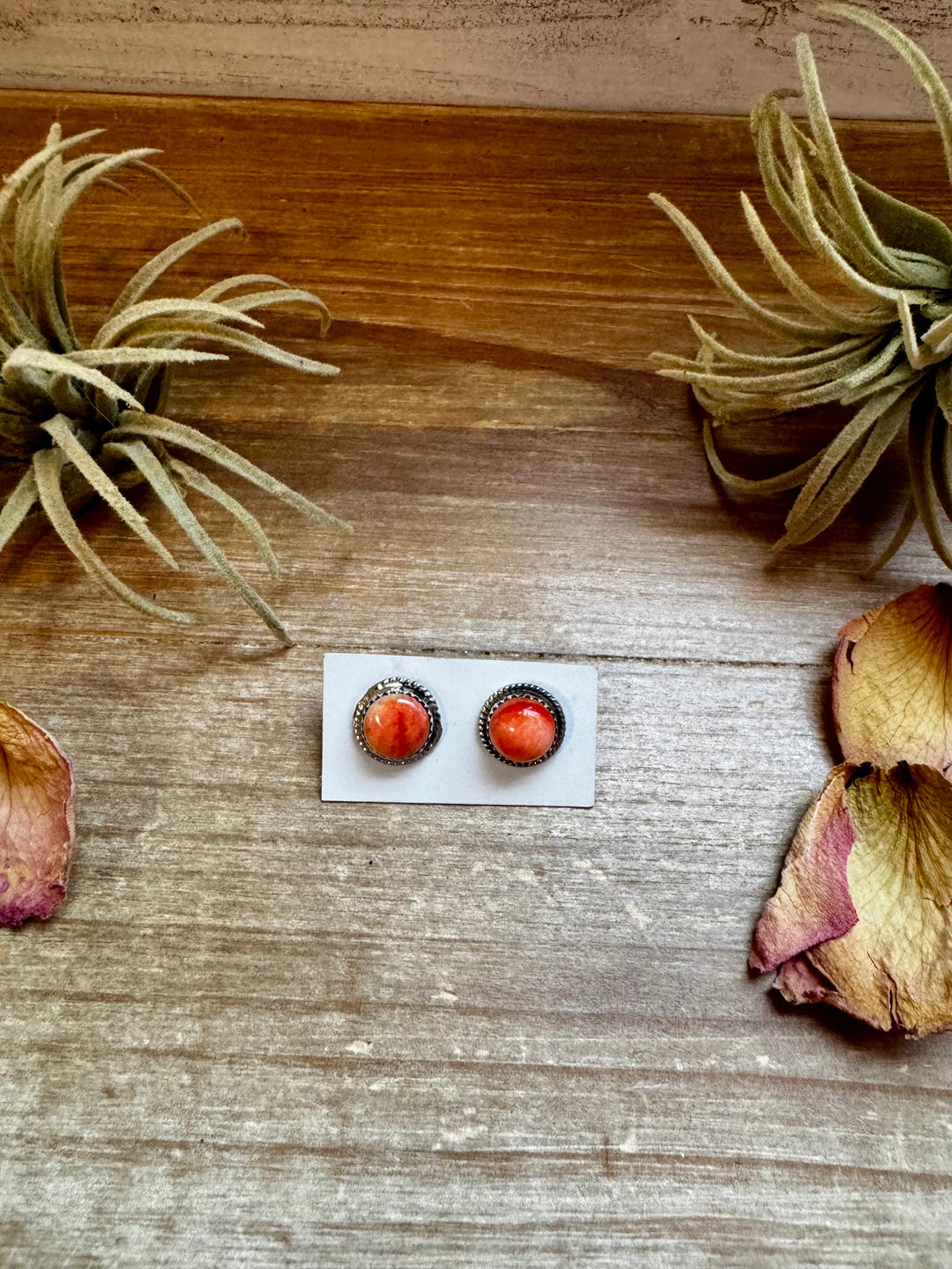 Spiny Oyster Stud Earrings