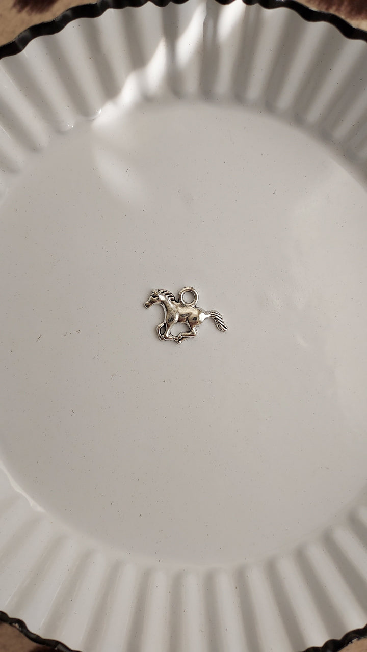 Out West Charm Necklace